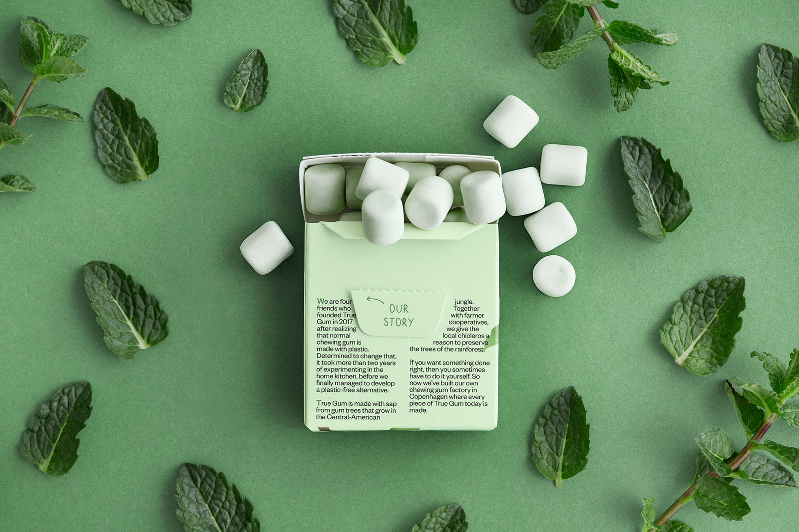 TRUE GUM mėtų skonio kramtomoji guma be cukraus