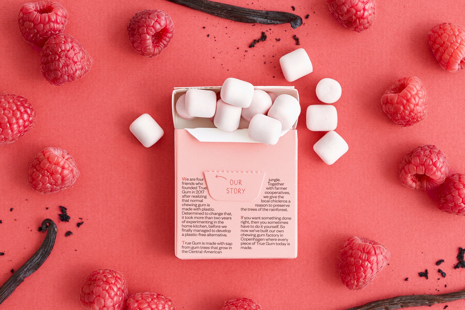 TRUE GUM aviečių ir vanilės skonio kramtomoji guma be cukraus