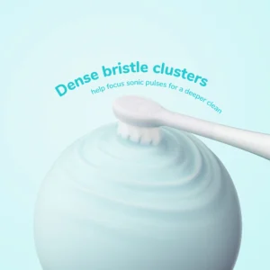 Ordo Sonic Squishmallows Kids šepetėlio galvutės